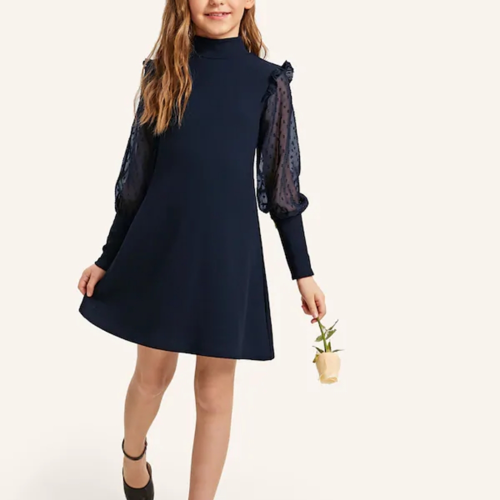 Girls High Neck Swiss Mesh Sleeve Dress